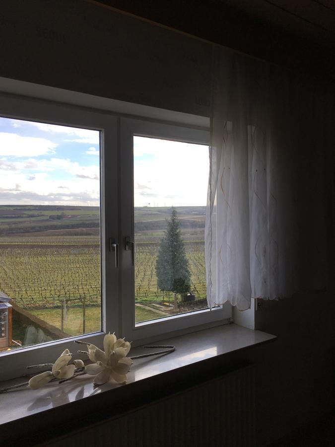 Ferienwohnung Ha-Wei -80 M2 Hangen-Weisheim Exterior foto